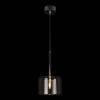 Подвесной светильник Loft IT Spillray 10232/A Smoke фото 2