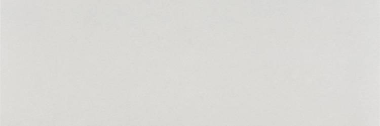 Керамическая плитка Pamesa Atrium Nuva Blanco 33.3x100