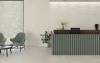 Декор Peronda Nature 24030 Silver Decor 32x90 фото 7