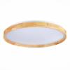 Накладной светодиодный светильник Evoluce Delia SLE201382-01 фото 3