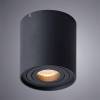 Потолочный светильник Arte Lamp Galopin A1460PL-1BK фото 2