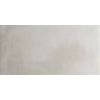 Керамогранит Pamesa Essential Essen 035.084.0344.00304 Ash Rect. 45x90