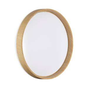 Настенно-потолочный светильник Sonex Gari Wood 7684/DL