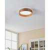 Потолочный светодиодный светильник Eglo Luppineria 900463 фото 3