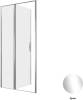 Душевая дверь в нишу Allen Brau Priority 3.31028.00 профиль хром, 1000x2000 фото 3