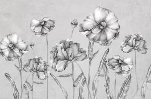 3D Фотообои Artegrafico «Серые маки» FANT-030 акварель