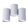 Накладной спот Arte Lamp Gavroche A1511PL-2GY