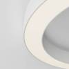 Потолочный светильник Maytoni Ceiling C093CL-45W3K-W фото 4