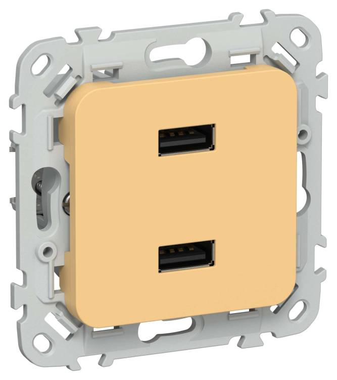 Розетка USB type A+A IEK Flite FI-U21-D31-K90 золотарник