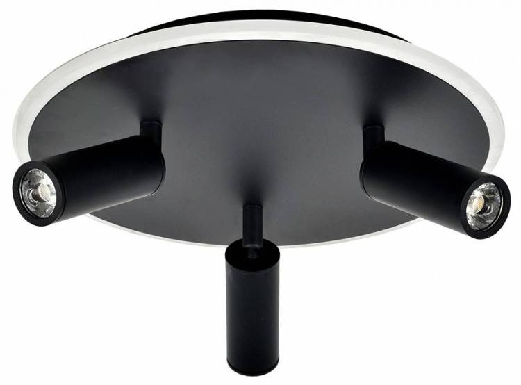 Потолочный светильник Escada 20046SMA/03LED BK