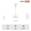 Подвесная люстра Lightera Chad LE116L-55W фото 2