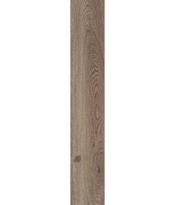 Керамогранит ABK Poetry Wood Oak Nat Rett 20х120