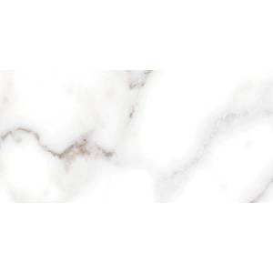 Керамическая плитка Alma Ceramica Grigio TWU09GRG007 24.9x50