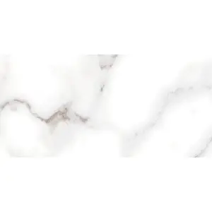 Керамическая плитка Alma Ceramica Grigio TWU09GRG007 24.9x50