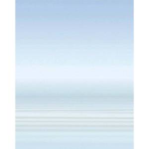 Панно Cerrol Porto Water and Swan B 60x75