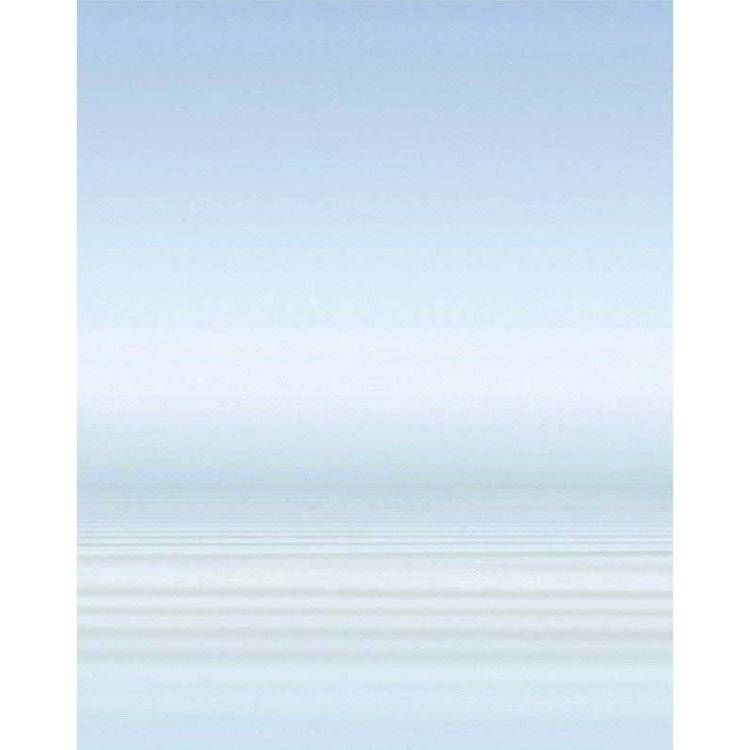 Панно Cerrol Porto Water and Swan B 60x75