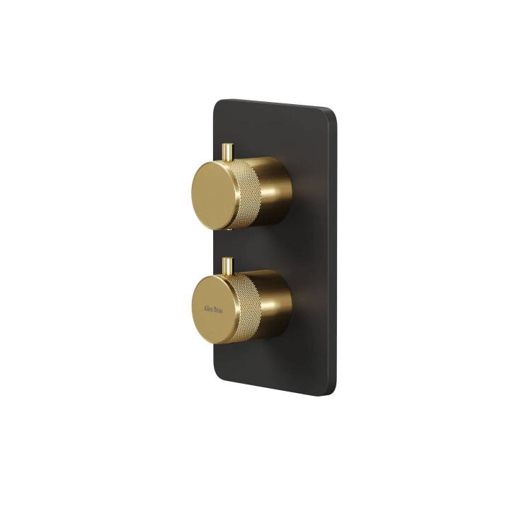 Смеситель для ванны Allen Brau Priority V.2 5.31213-31GB золотой, черный