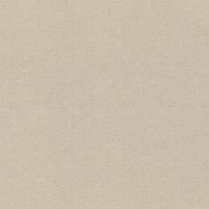 Обои Rasch Wall Textures XL IV 971330