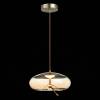 Подвесной светодиодный светильник ST Luce Ozzio SL6108.303.01 фото 4