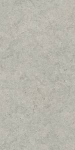 Керамогранит Italon Форум 610010004168 Стоун Сильвер Рет 60x120