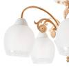 Потолочная люстра MyFar Nika MR1671-5C фото 3