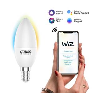 Лампа светодиодная диммируемая Gauss Smart Home 1110112