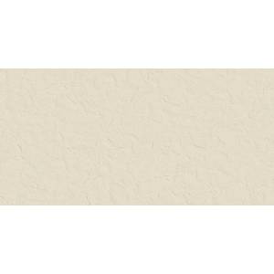 Керамогранит Kutahya Logan 30340520700900 Bone Rectified Matt 60x120