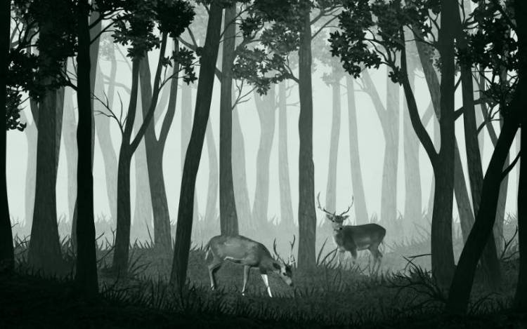 3D Фотообои Artegrafico «Олени в тёмном лесу на зелёном» VG-016 канвас