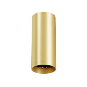 Потолочный светильник Technical Focus C010CL-01MG-N