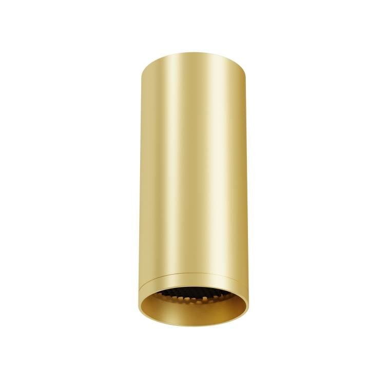 Потолочный светильник Technical Focus C010CL-01MG-N
