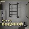 Полотенцесушитель водяной Teymi Lina П4 W80158 с комплектом K1, черный матовый, 40x60