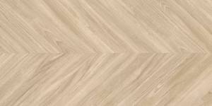 Керамогранит Geotiles Ebony Haya 60x120