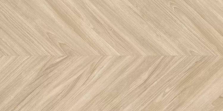 Керамогранит Geotiles Ebony Haya 60x120