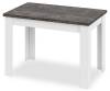 Стол обеденный Трия Промо TRI_198637 Белый
