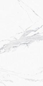 Керамогранит Creto Avenzo MDT25F31210G Silver F P R Full Lappato 1 60x120