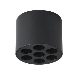 Потолочный светодиодный светильник Lightstar Guarda 080647