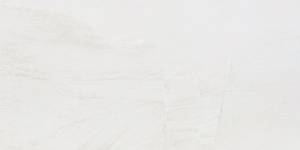 Керамогранит NT Ceramic Zeus ZS612NTT9701M 60x120