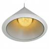 Подвесная светодиодная люстра iLedex Moon WL8858-5 WH фото 2
