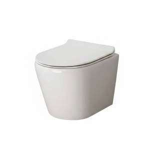 Унитаз подвесной Cerutti Spa Luigi CT11101 безободковый, с крышкой-сиденьем микролифт