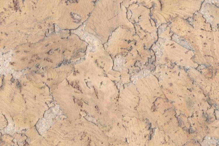 Пробковое покрытие Corkstyle Wall Design Monte Cream 600x300x3