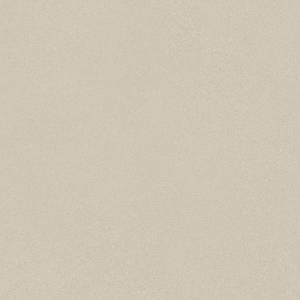 Керамогранит Arcana Mousse ARC_8U40 R Greige 120x120