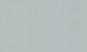 Обои виниловые Rasch Vitrage 975581