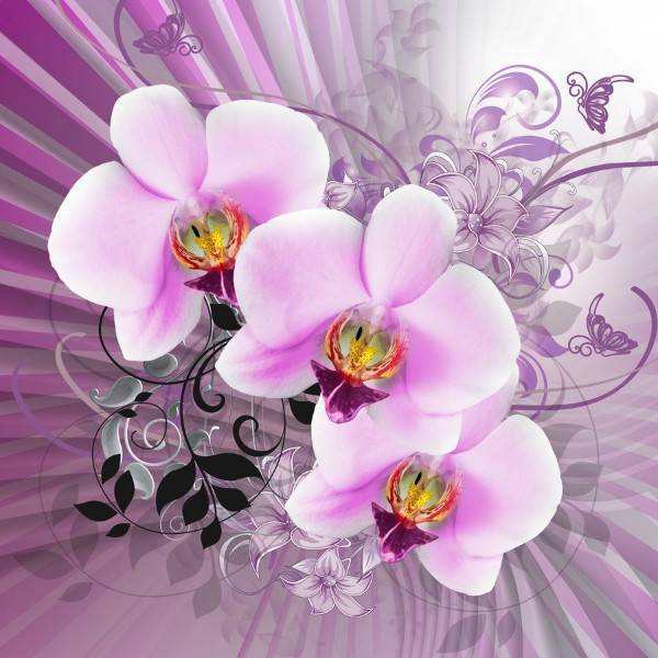 3D Фотообои Artegrafico «Орхидеи в стиле ретро» GM-061 акварель