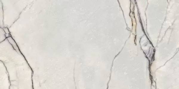 Керамогранит Flaviker Supreme Treasure 0009023 Greylac Platinum Lux 60x120