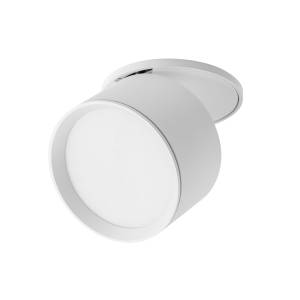 Светильник светодиодный встраиваемый Lightstar Acuto 215806