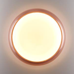 Настенно потолочный светильник Sonex Portman 7778/ELN