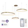 Большая подвесная светодиодная люстра Citilux Genka Smart CL756A092