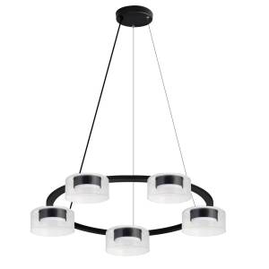 Подвесная люстра Arte Lamp Alius A8042SP-5BK