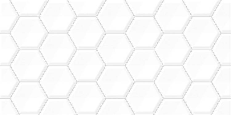Керамическая плитка Alma Ceramica Bilbao TWU09BLB010 24.9x50