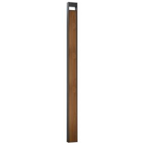 Ландшафтный светильник Arte Lamp Arneb A2140PA-1BR